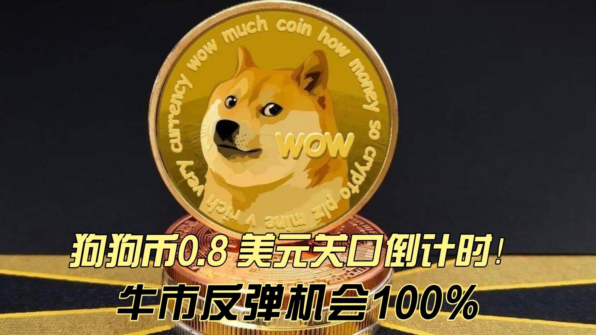 狗狗币突遭安全漏洞，流失高达4.1万美元